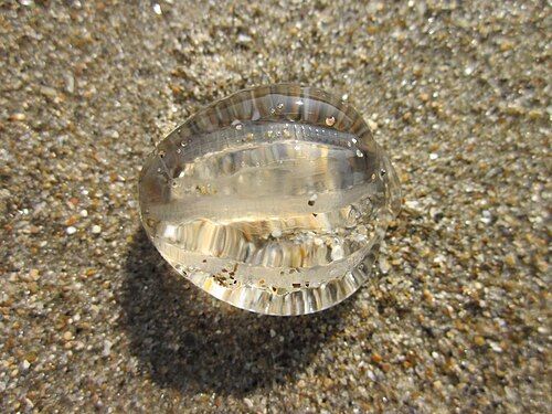 Sea gooseberry